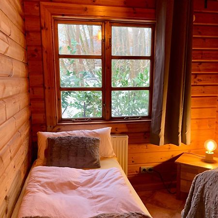 Blockhaus Am Twistesee Mit 3 Schlafzimmern バート・アロルゼン エクステリア 写真