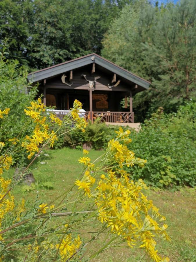 Blockhaus Am Twistesee Mit 3 Schlafzimmern バート・アロルゼン エクステリア 写真