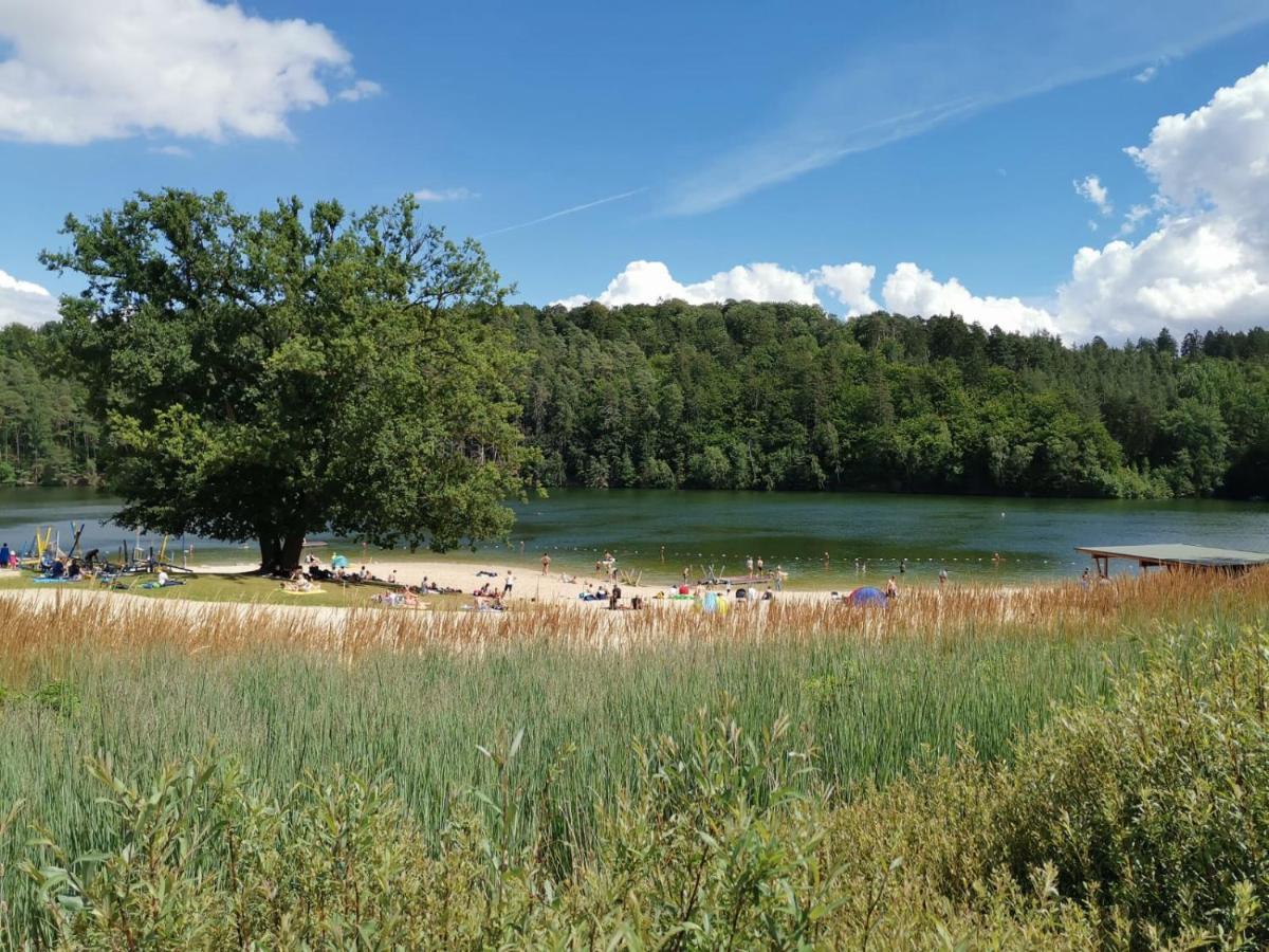 Blockhaus Am Twistesee Mit 3 Schlafzimmern バート・アロルゼン エクステリア 写真