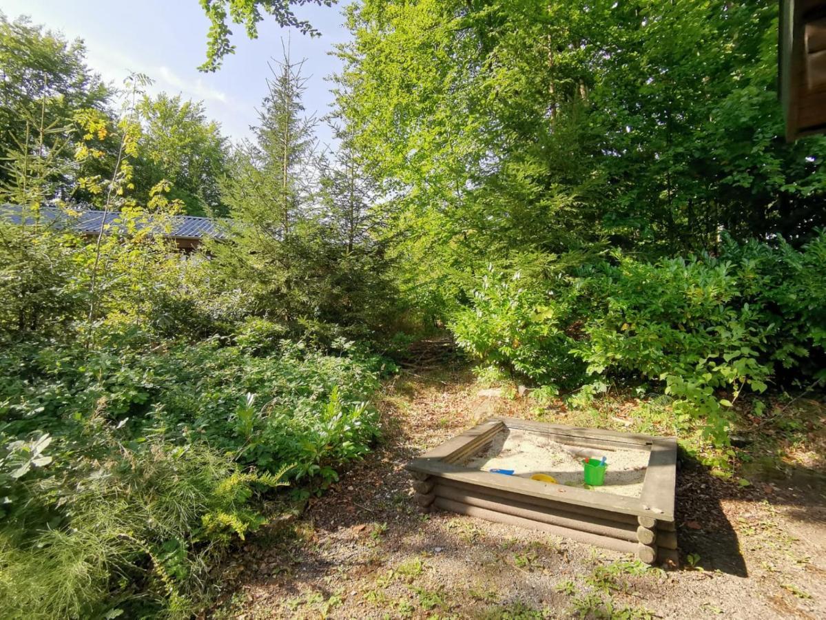 Blockhaus Am Twistesee Mit 3 Schlafzimmern バート・アロルゼン エクステリア 写真