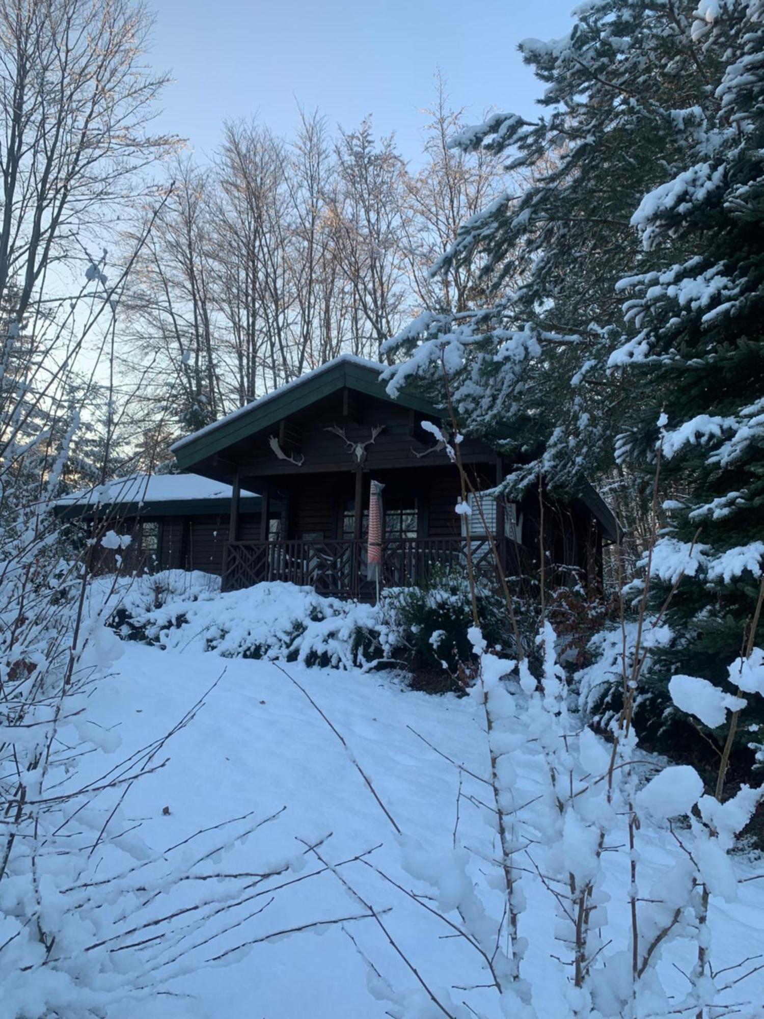 Blockhaus Am Twistesee Mit 3 Schlafzimmern バート・アロルゼン エクステリア 写真